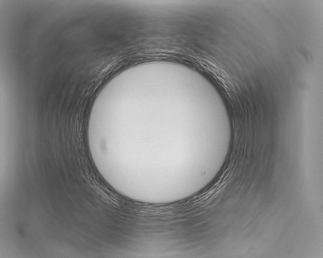 X0000116161252200911231033