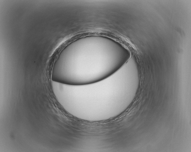 X0000116161256200911231033