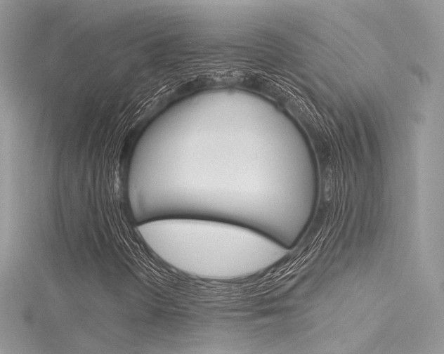 X0000116161298200911231032
