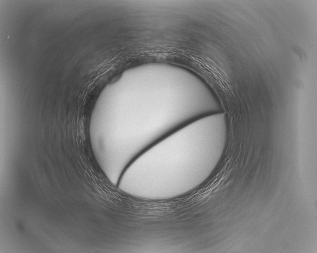 X0000116161347200911231032