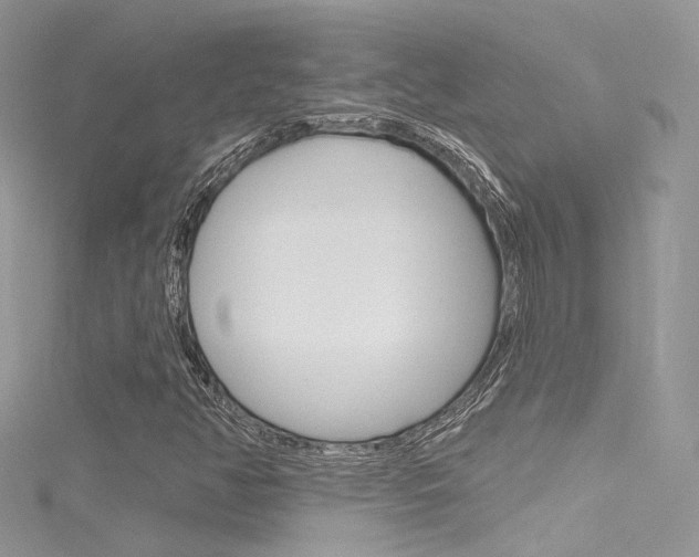 X0000116161350200911231032