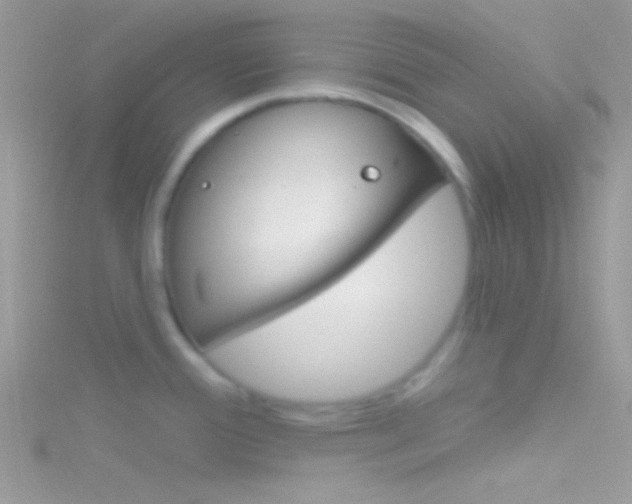 X0000116161388200911231031