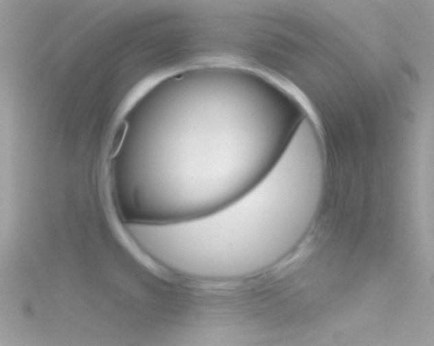X0000116161389200911231031