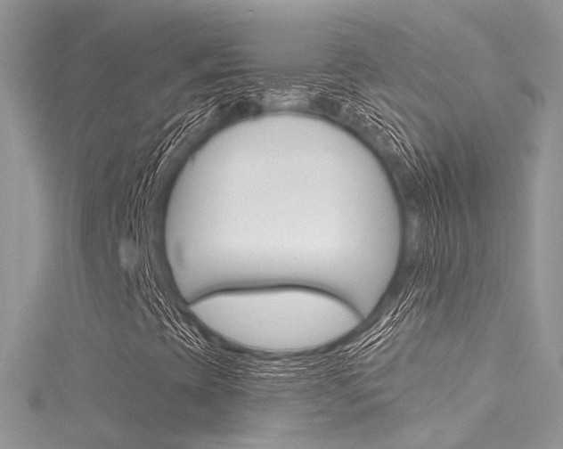 X0000116161393200911231031