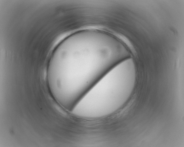 X0000116161420200911231031
