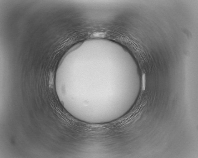 X0000116161443200911231031