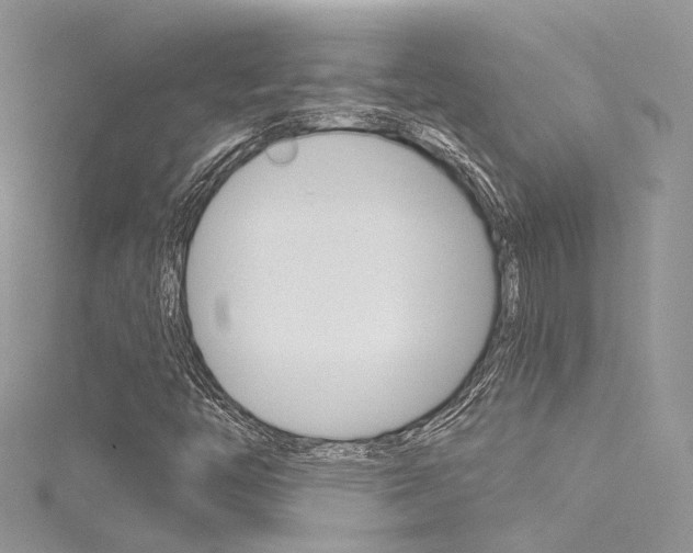 X0000116161446200911231031