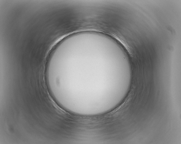 X0000116161452200911231031