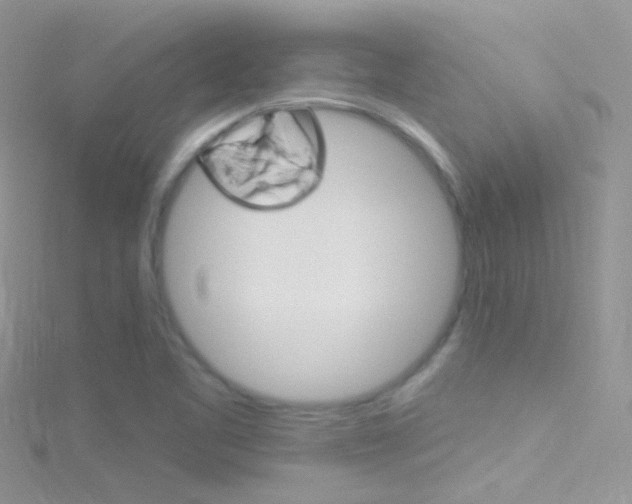 X0000116161461200911231030