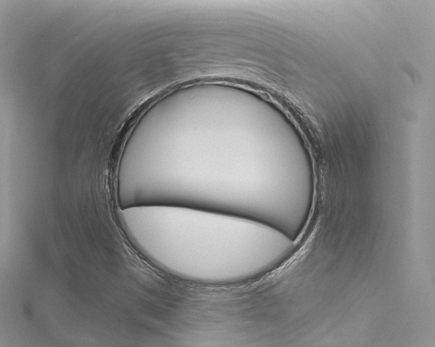 X0000116161497200911231030