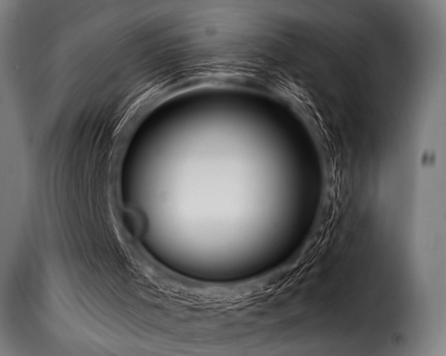 X0000116160001200911231416