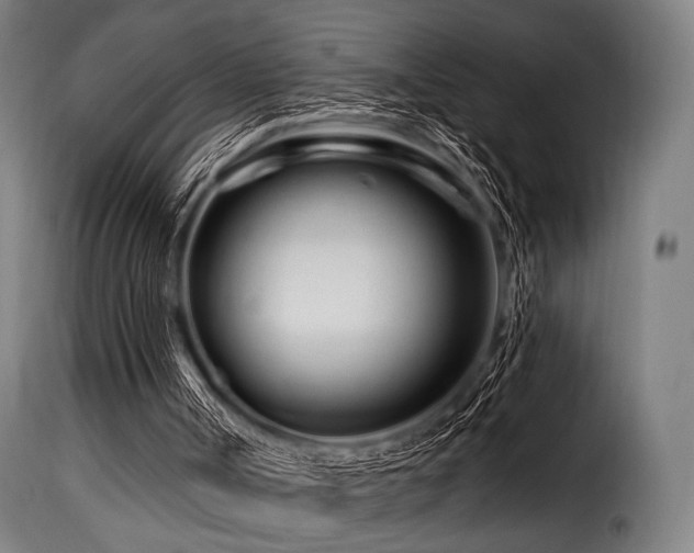 X0000116160002200911231416