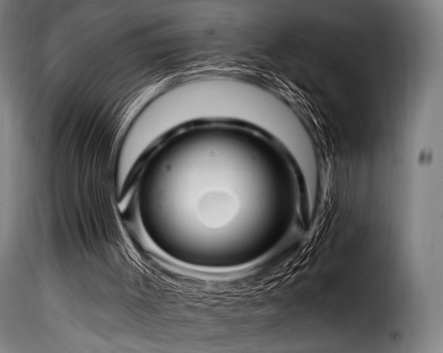 X0000116160003200911231416