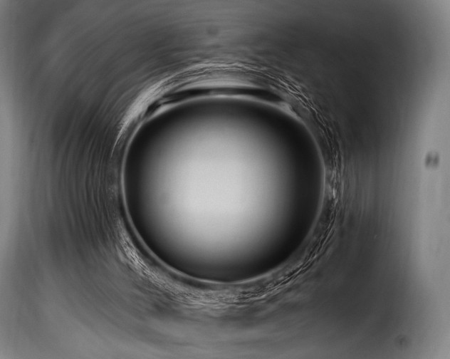 X0000116160004200911231416