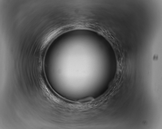 X0000116160005200911231416