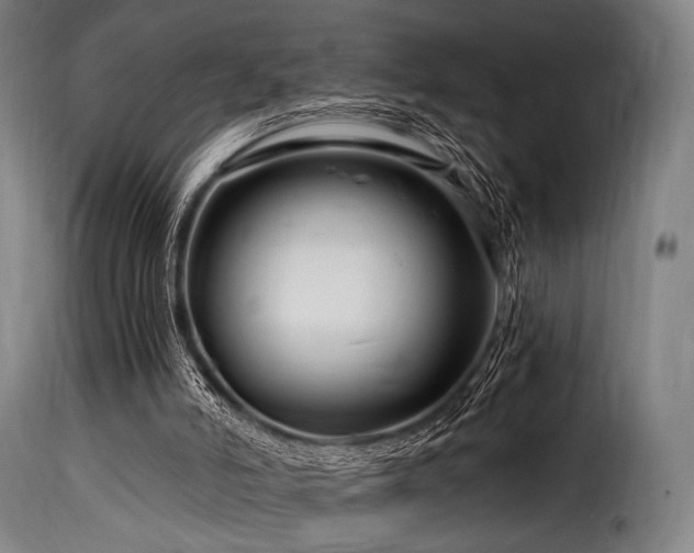 X0000116160006200911231416