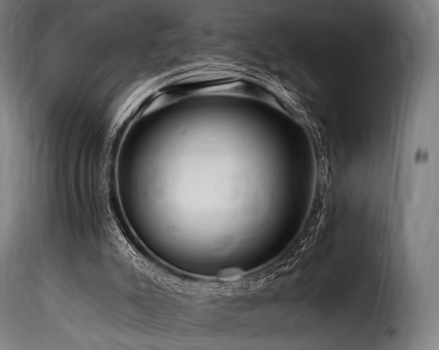 X0000116160007200911231416