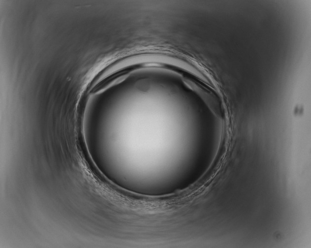 X0000116160008200911231416