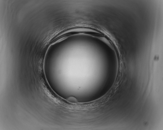 X0000116160009200911231416