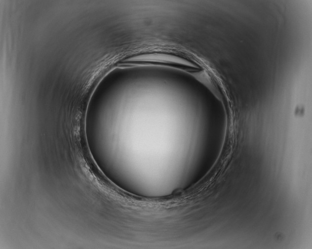 X0000116160010200911231416