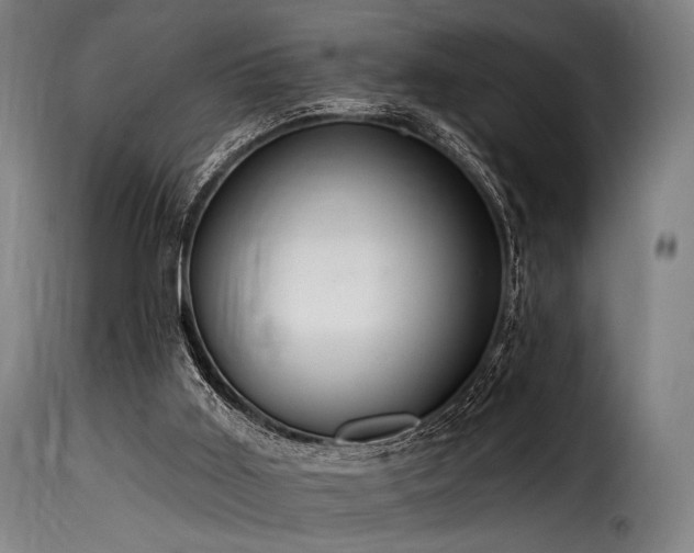 X0000116160011200911231416