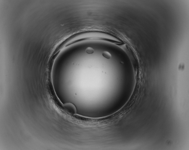 X0000116160012200911231416