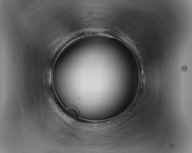 X0000116160013200911231416