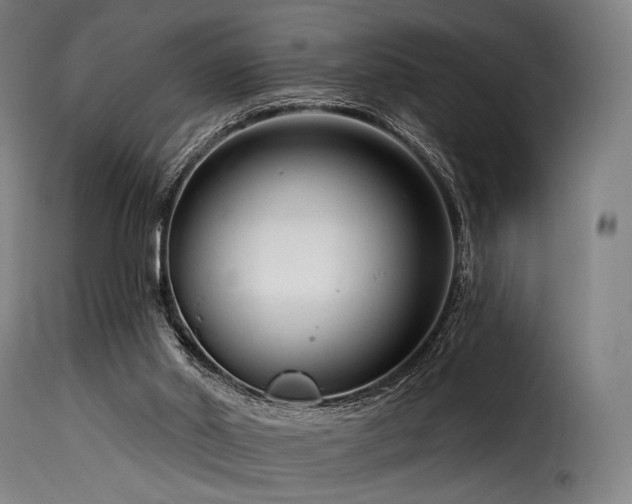 X0000116160014200911231416