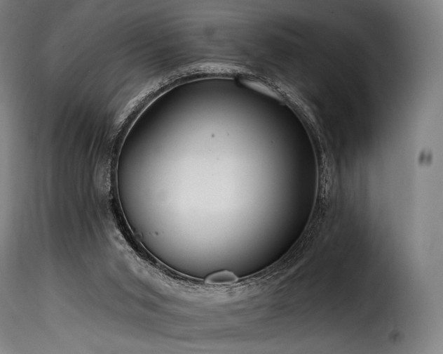 X0000116160015200911231416