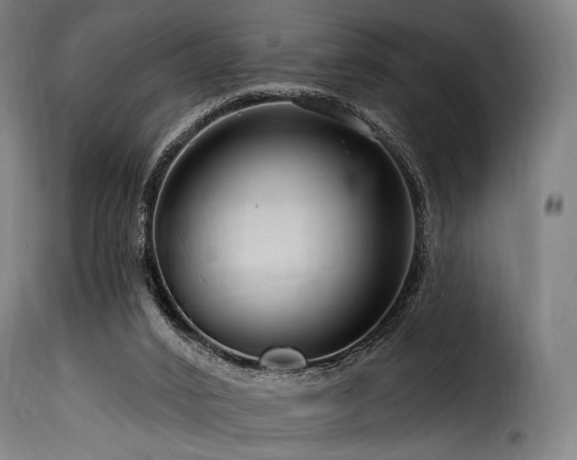 X0000116160016200911231416