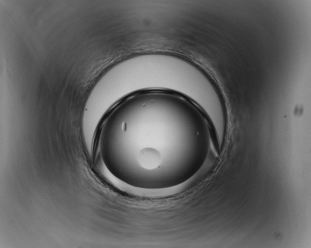 X0000116160017200911231416