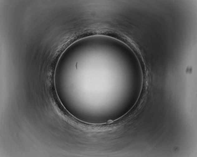 X0000116160018200911231416