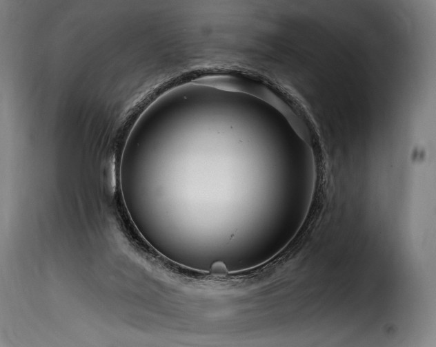 X0000116160020200911231416