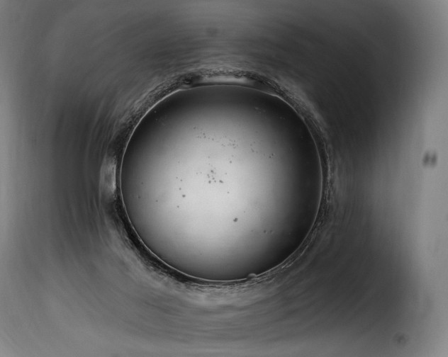 X0000116160021200911231416