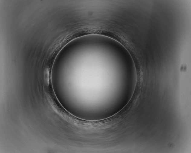 X0000116160022200911231416