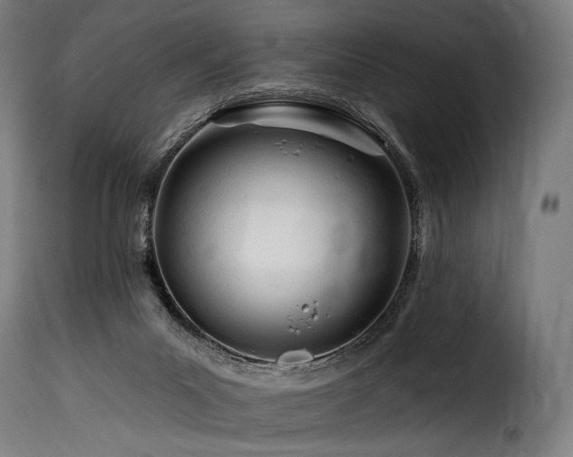 X0000116160023200911231416