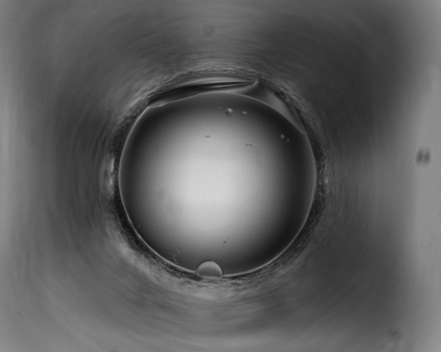 X0000116160024200911231416