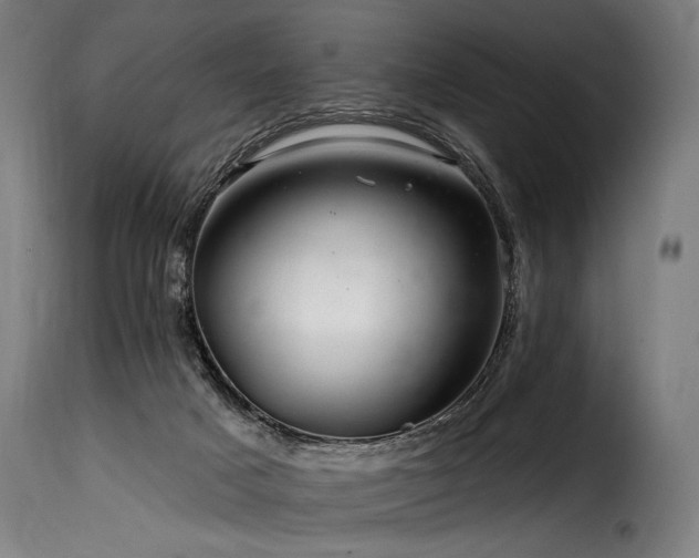 X0000116160025200911231416