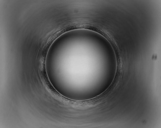 X0000116160026200911231416