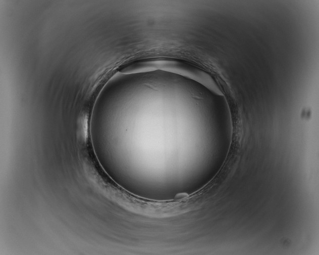 X0000116160027200911231416