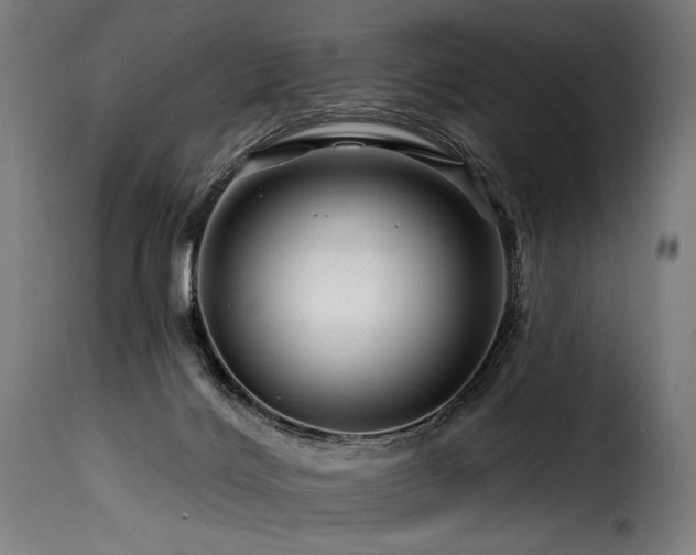 X0000116160028200911231416