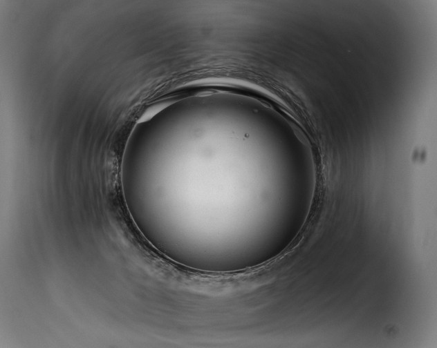 X0000116160029200911231416