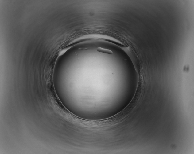 X0000116160030200911231416