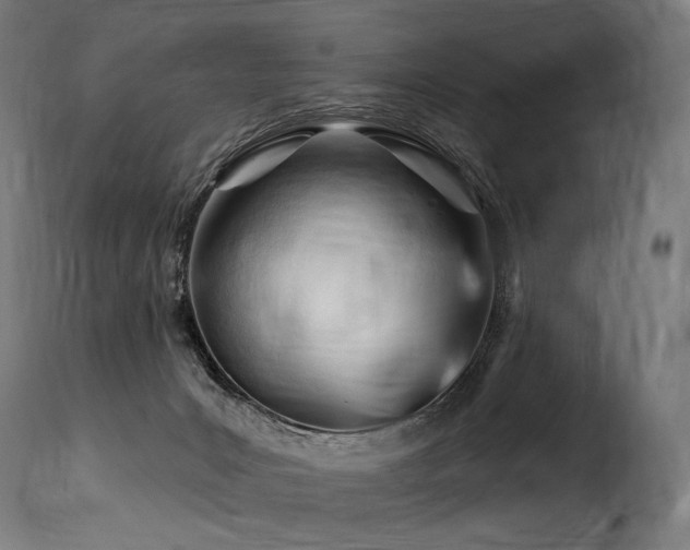 X0000116160031200911231416