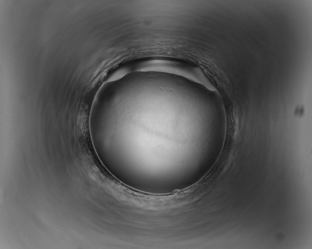 X0000116160035200911231415