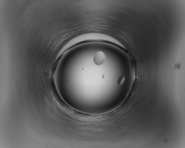 X0000116160036200911231415