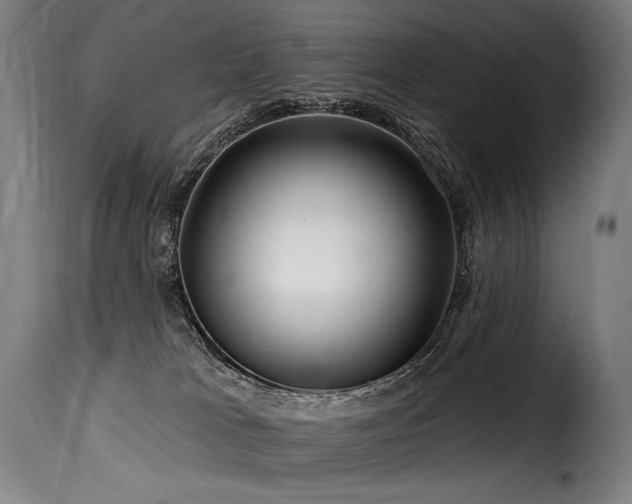 X0000116160037200911231415