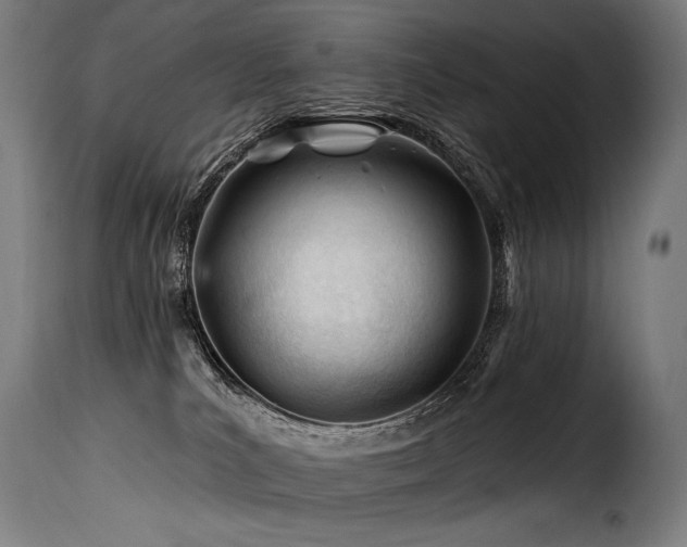 X0000116160039200911231415