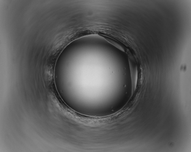 X0000116160040200911231415