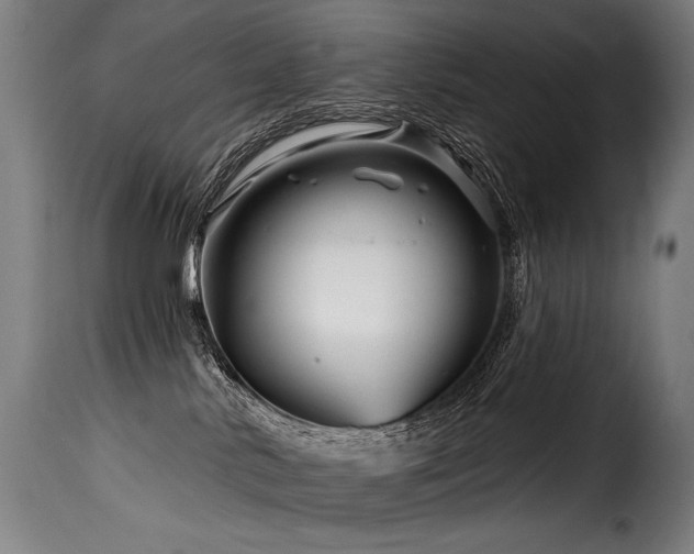 X0000116160042200911231415